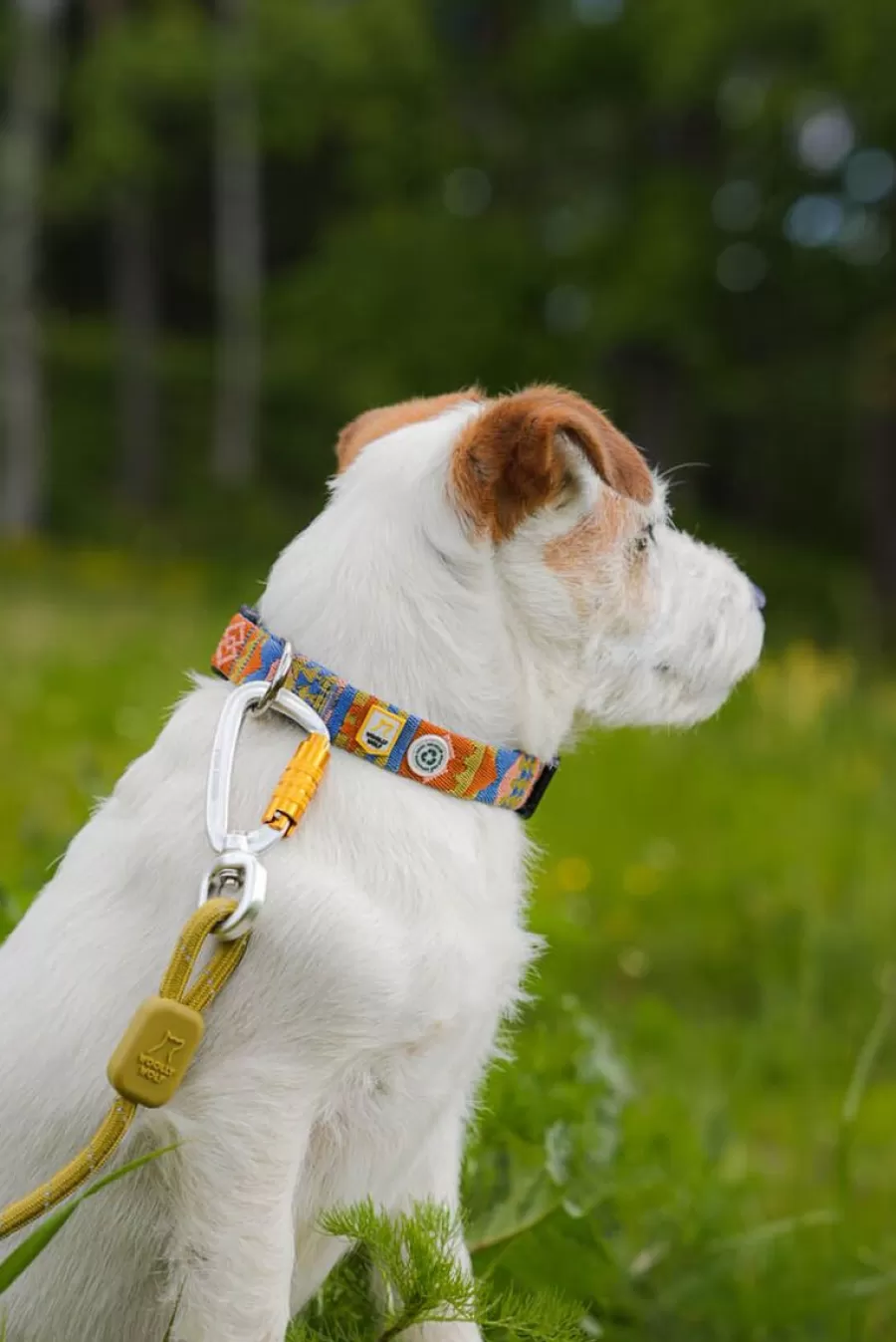 Rope Leash Talutushihna, Pistachio>WoollyWolf Store